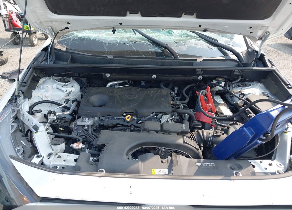 2021 TOYOTA RAV4 LE VIN: 2T3F1RFV4MW216059