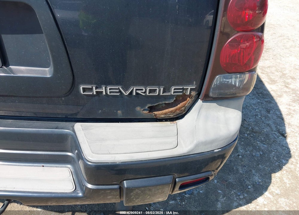 2002 CHEVROLET TRAILBLAZER LTZ VIN: 1GNDT13S122323824