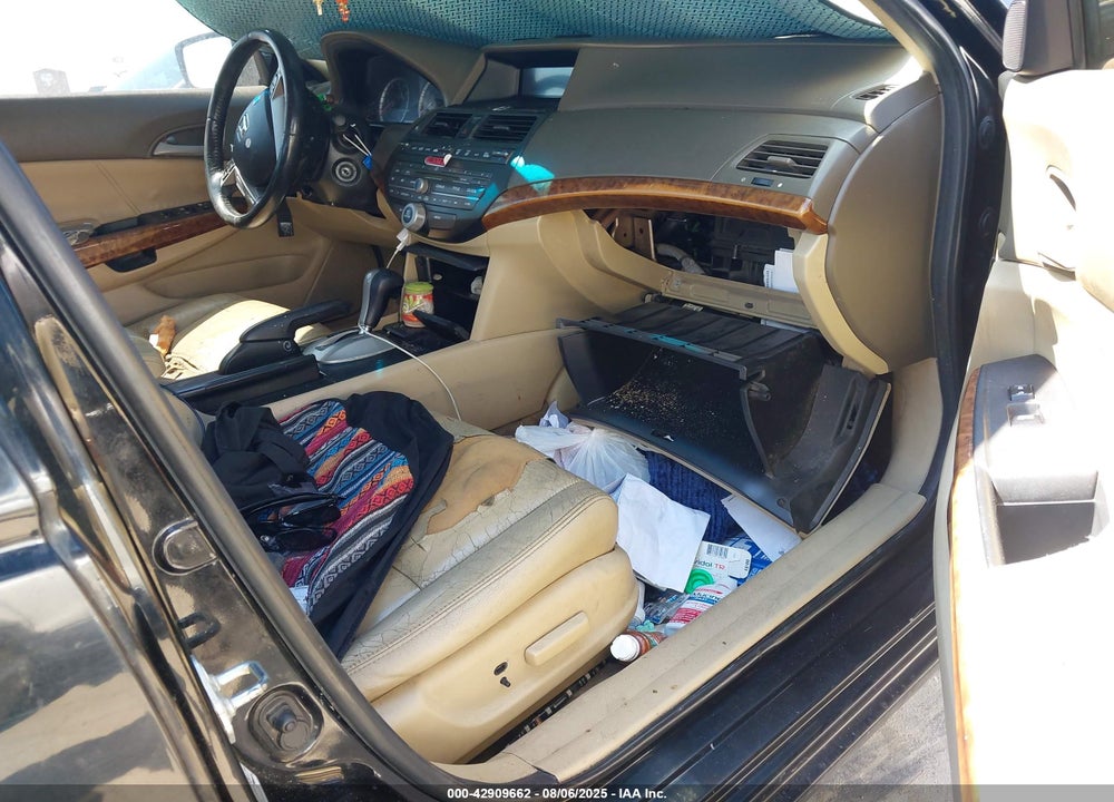 2010 HONDA ACCORD VIN: 1HGCP3F81AA004885