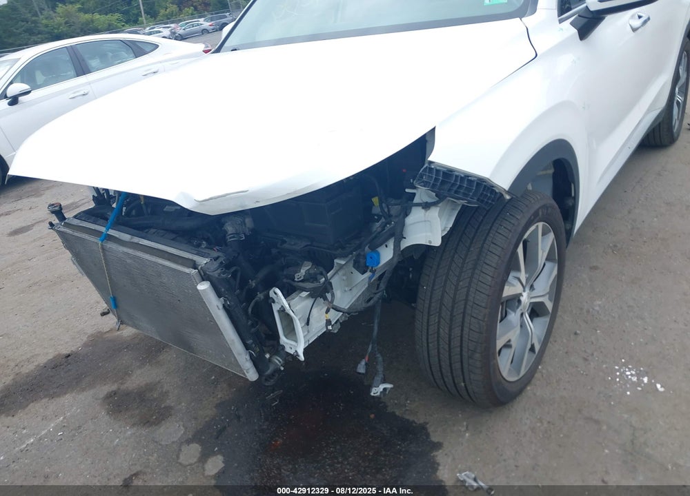 2021 HYUNDAI PALISADE VIN: KM8R3DHE3MU266824