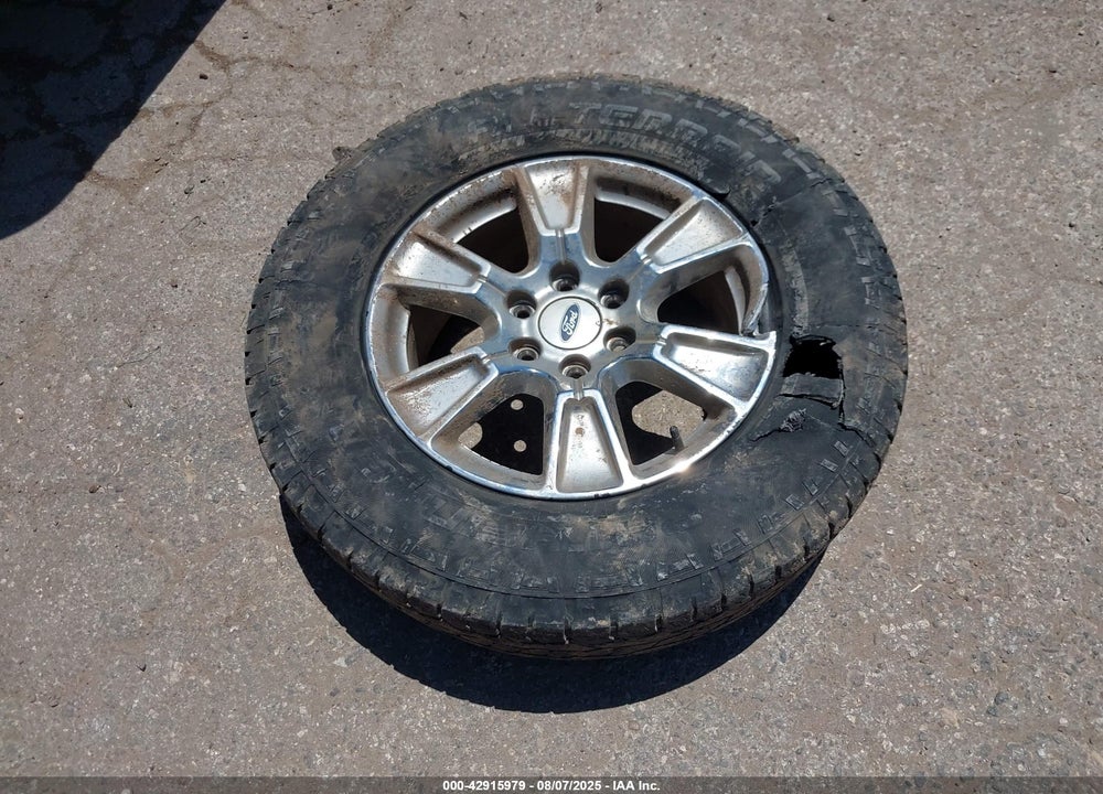 2015 FORD F-150 VIN: 1FTEW1CP5FKE28923