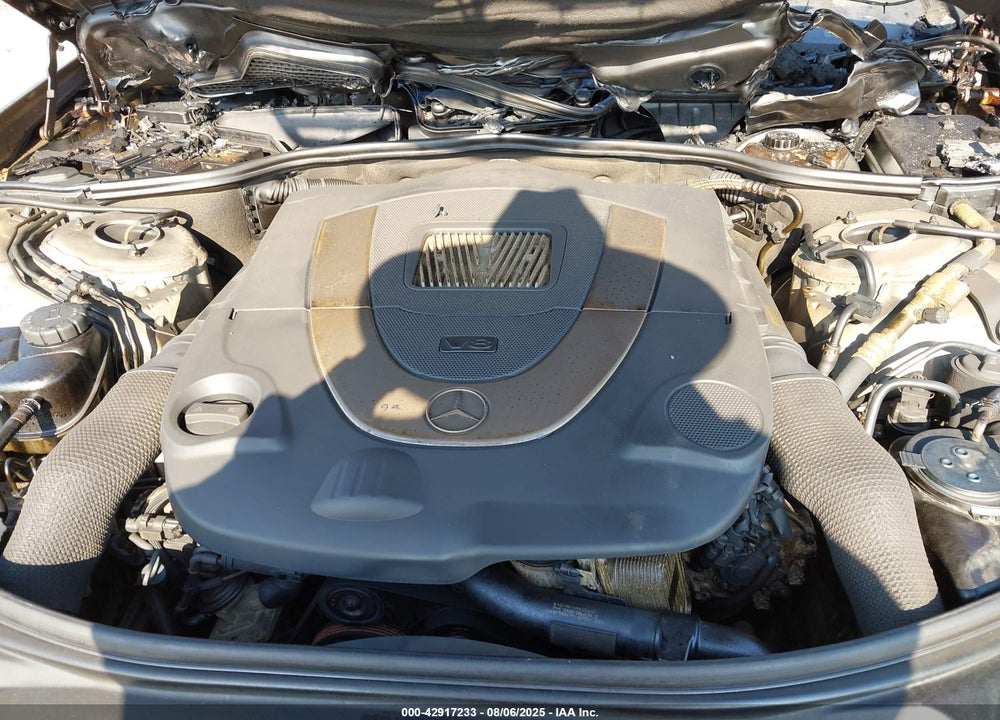 2010 MERCEDES-BENZ S CLASS VIN: WDDNG7BB3AA324957