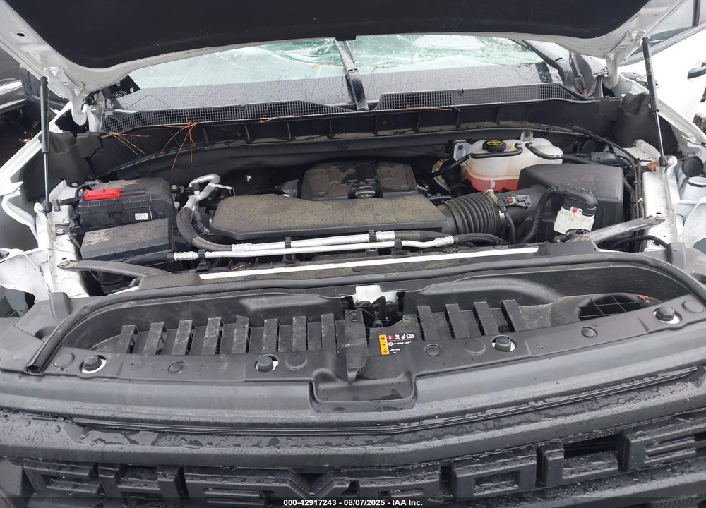 2025 CHEVROLET SILVERADO 1500 VIN: 1GCPKBEK2SZ116569