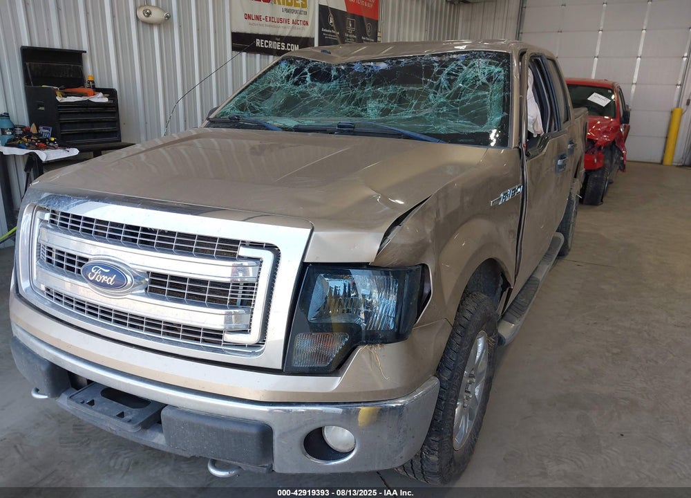 2013 FORD F-150 XLT VIN: 1FTFW1EF5DKE10749