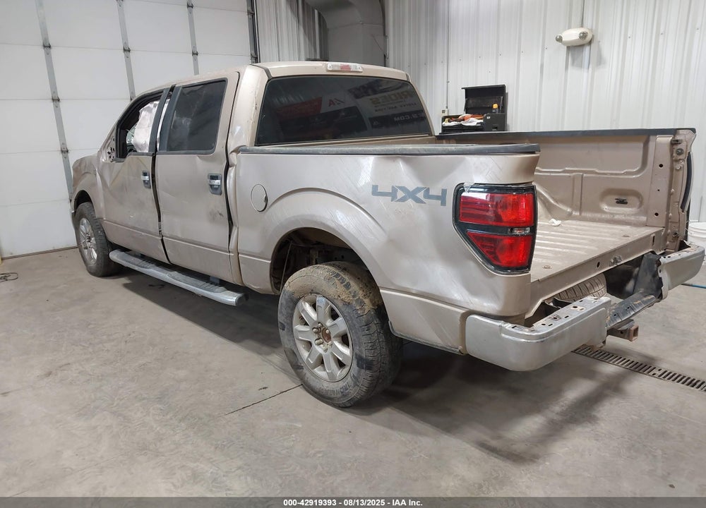 2013 FORD F-150 XLT VIN: 1FTFW1EF5DKE10749