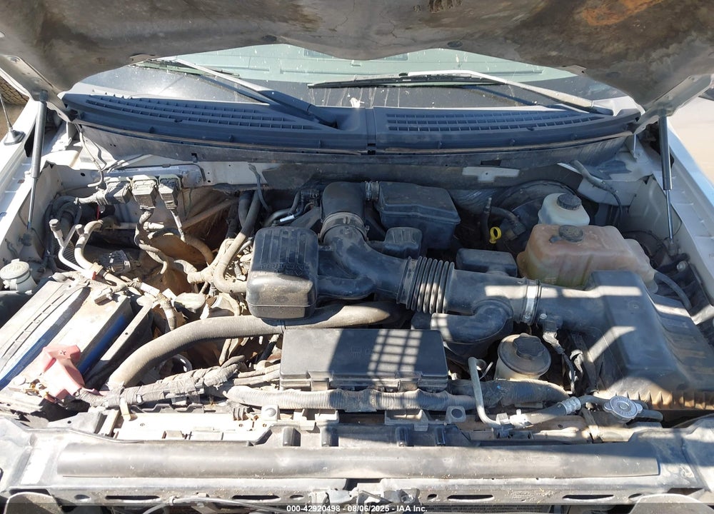 2010 FORD F-150 VIN: 1FTFW1CV3AKA13675