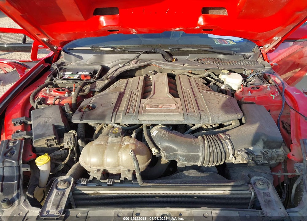 2019 FORD MUSTANG GT PREMIUM VIN: 1FA6P8CF3K5159241