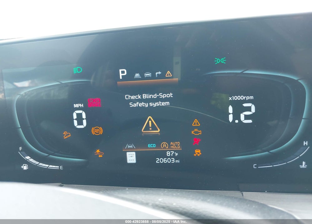 2024 KIA TELLURIDE EX X-LINE VIN: 5XYP3DGCXRG540444