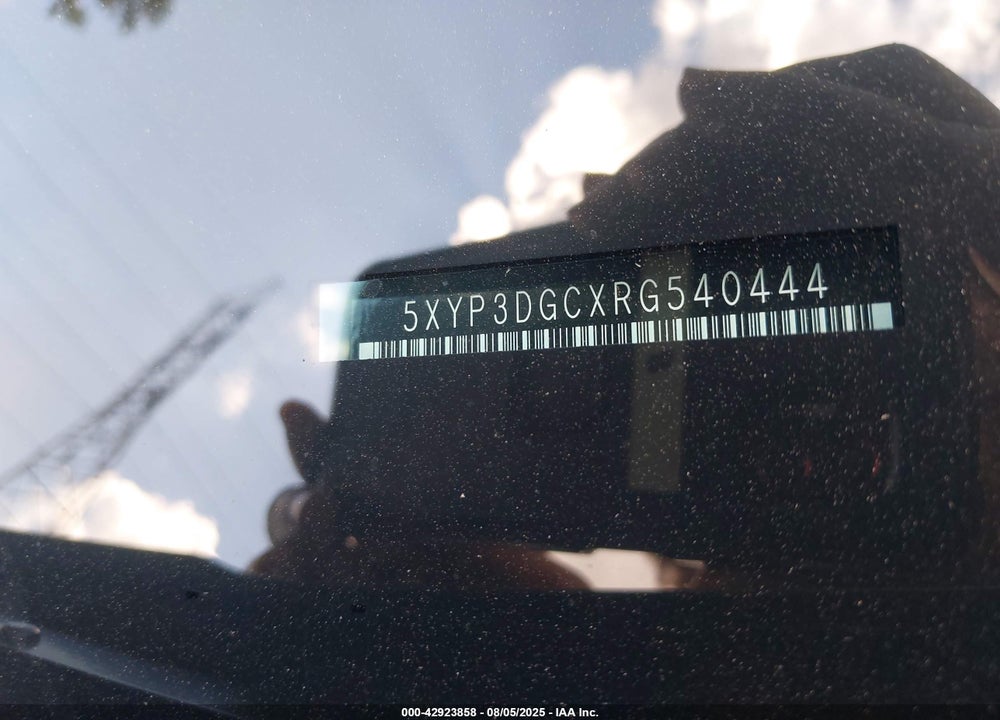 2024 KIA TELLURIDE EX X-LINE VIN: 5XYP3DGCXRG540444