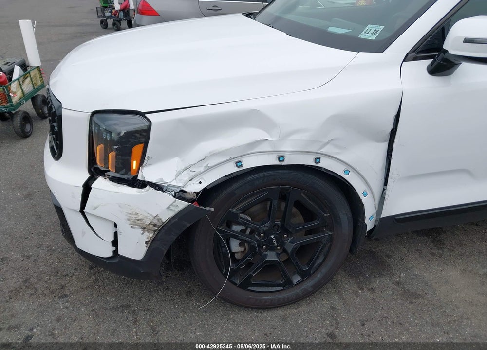 2024 KIA TELLURIDE VIN: 5XYP5DGCXRG454464