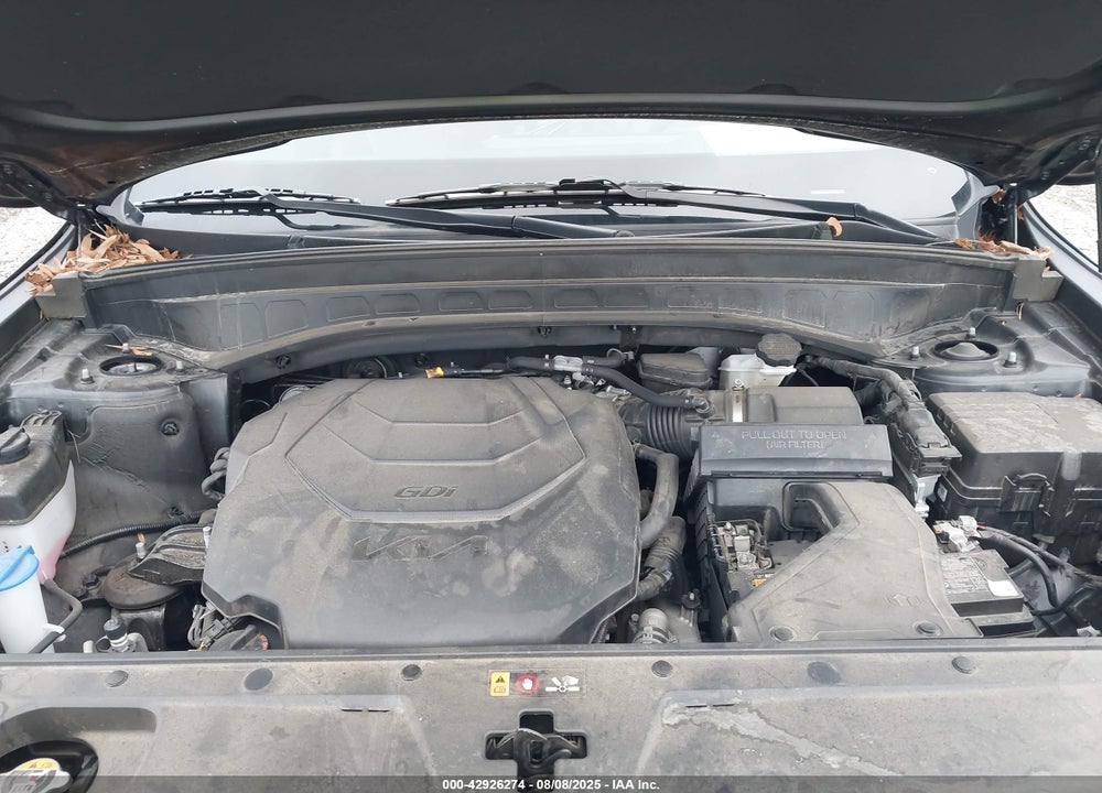 2023 KIA TELLURIDE VIN: 5XYP5DGC8PG365926