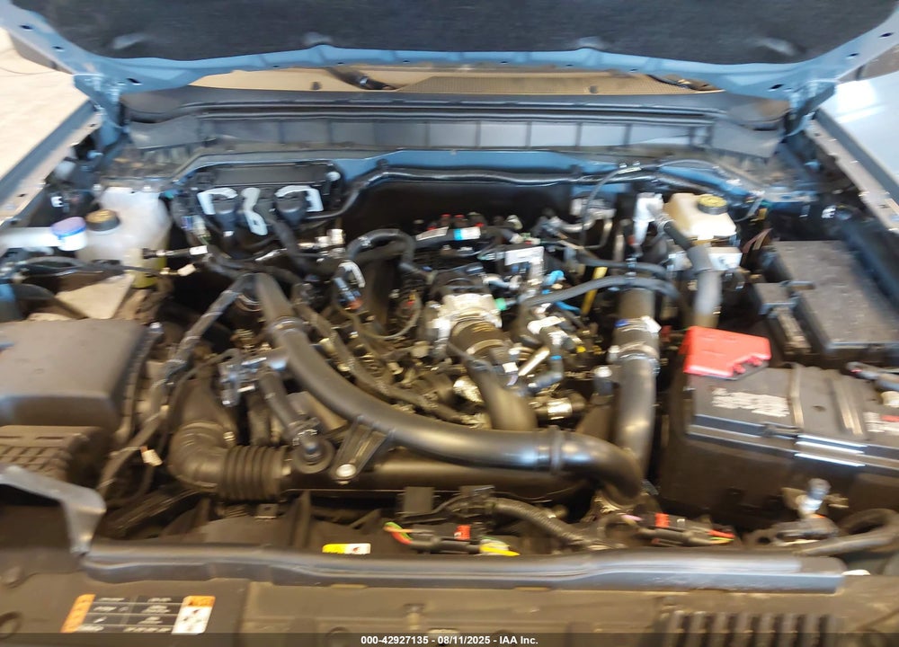 2024 FORD BRONCO WILDTRAK VIN: 1FMEE2BPXRLB51674