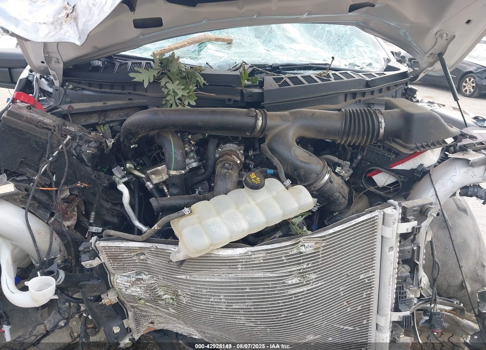 2022 FORD F-150 VIN: 1FTEW1E8XNFB06792