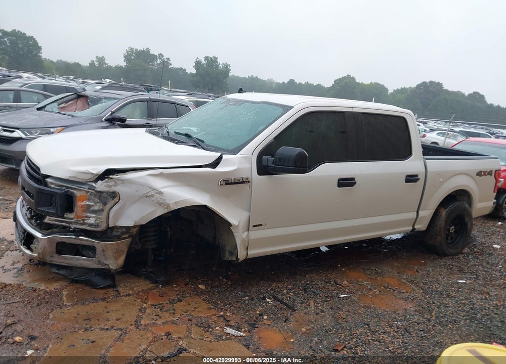2020 FORD F-150 XL VIN: 1FTEW1E59LKE48602