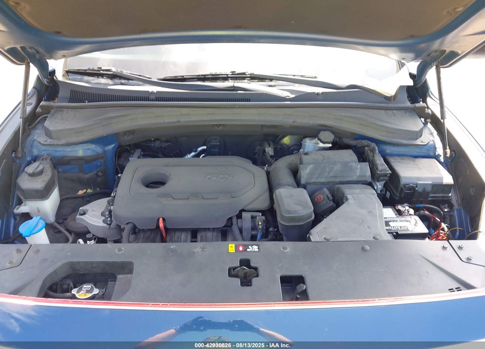 2019 HYUNDAI SANTA FE VIN: 5NMS3CAD9KH072482