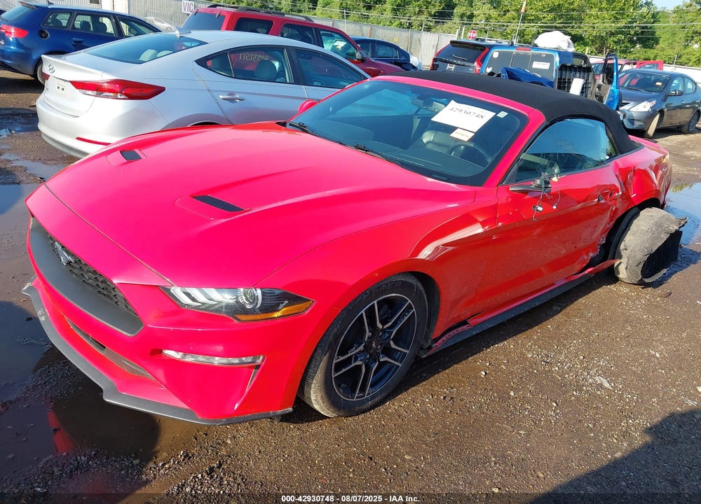 2019 FORD MUSTANG VIN: 1FATP8UH7K5122664
