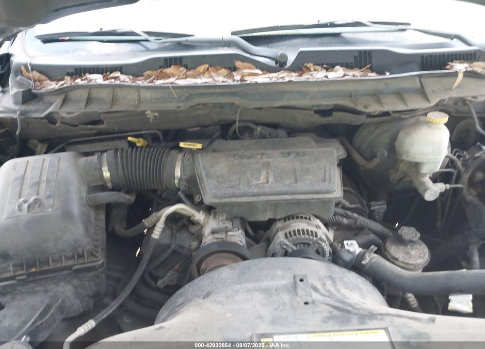 2010 DODGE RAM 1500 VIN: 1D7RB1GP6AS177884