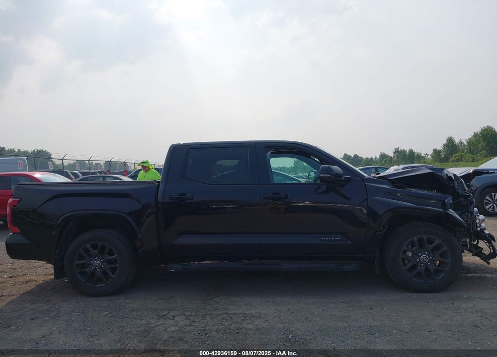 2023 TOYOTA TUNDRA PLATINUM VIN: 5TFNA5AB0PX025739