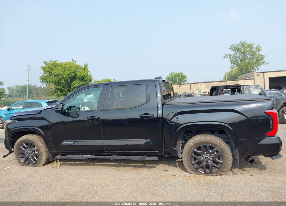 2023 TOYOTA TUNDRA PLATINUM VIN: 5TFNA5AB0PX025739