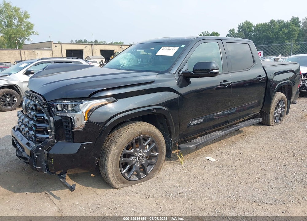 2023 TOYOTA TUNDRA PLATINUM VIN: 5TFNA5AB0PX025739
