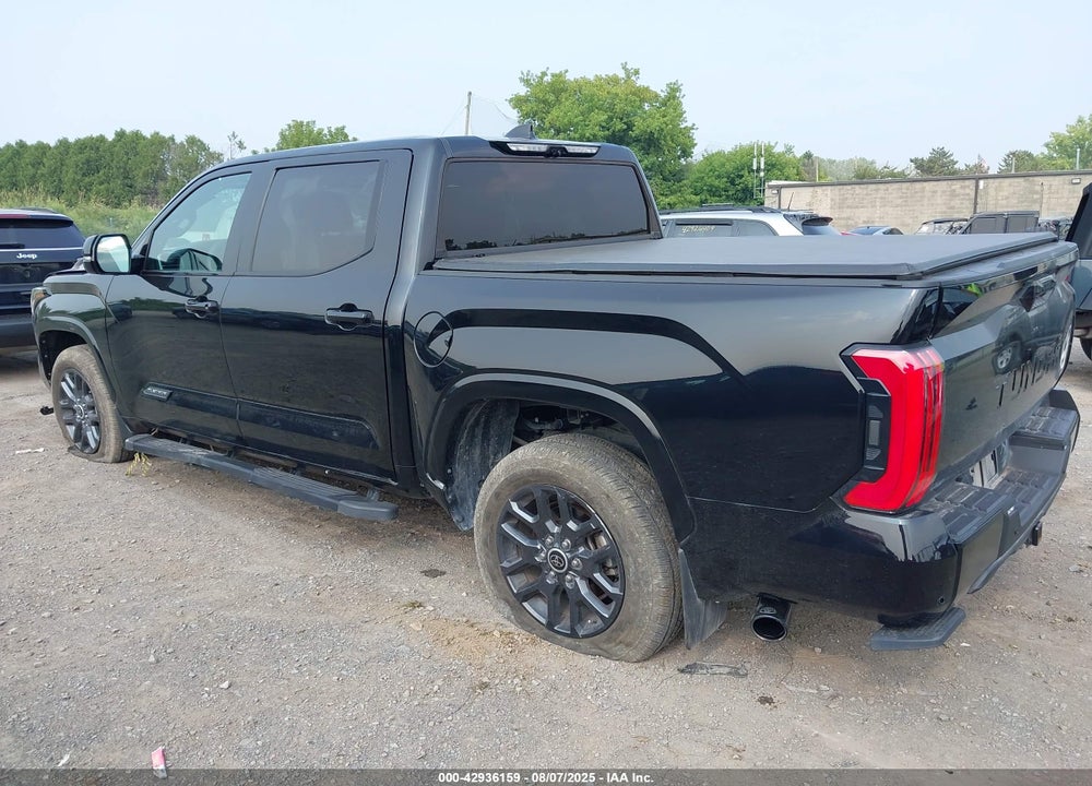 2023 TOYOTA TUNDRA PLATINUM VIN: 5TFNA5AB0PX025739