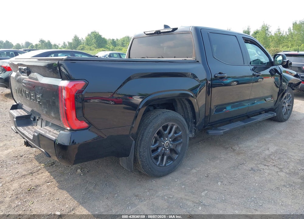 2023 TOYOTA TUNDRA PLATINUM VIN: 5TFNA5AB0PX025739