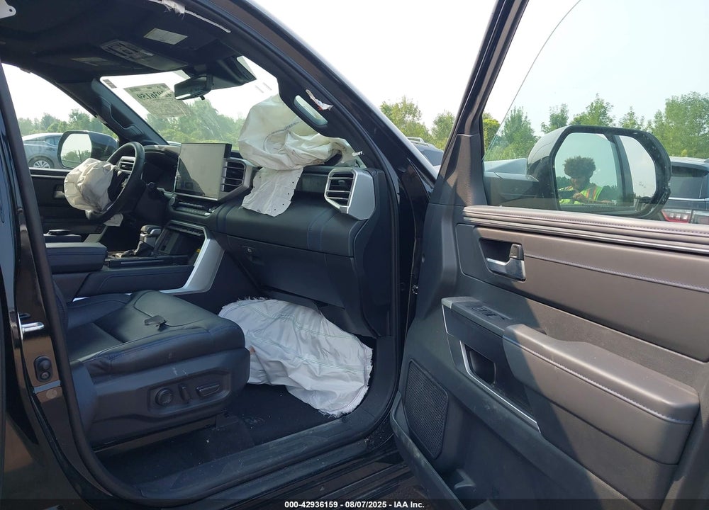 2023 TOYOTA TUNDRA PLATINUM VIN: 5TFNA5AB0PX025739
