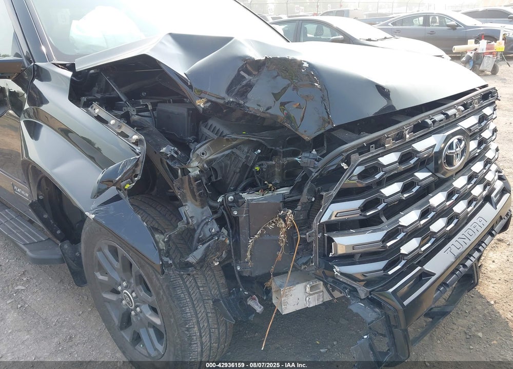 2023 TOYOTA TUNDRA PLATINUM VIN: 5TFNA5AB0PX025739