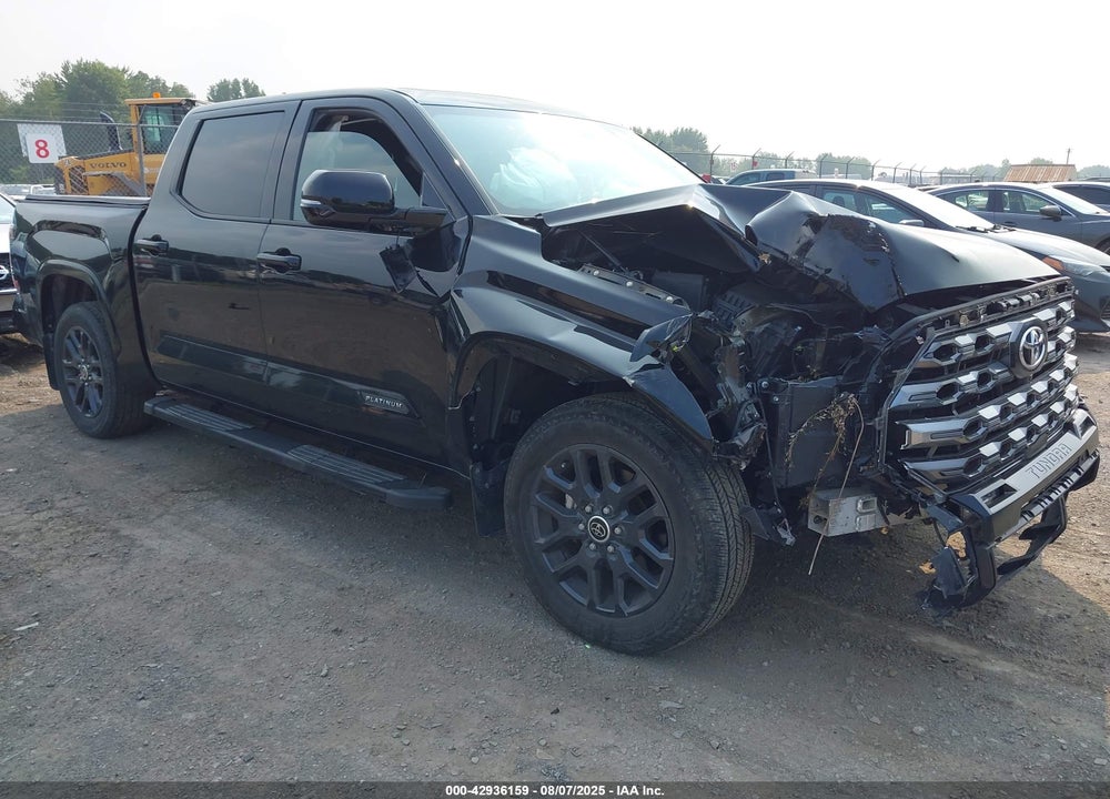 2023 TOYOTA TUNDRA PLATINUM VIN: 5TFNA5AB0PX025739