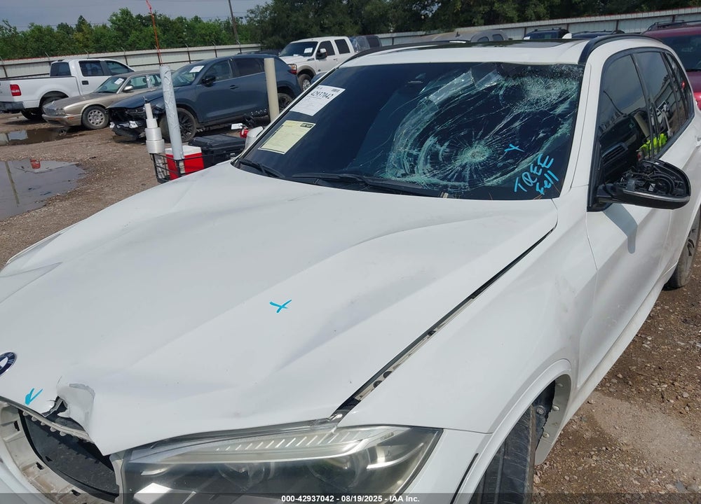 2015 BMW X5 VIN: 5UXKR6C5XF0J75694