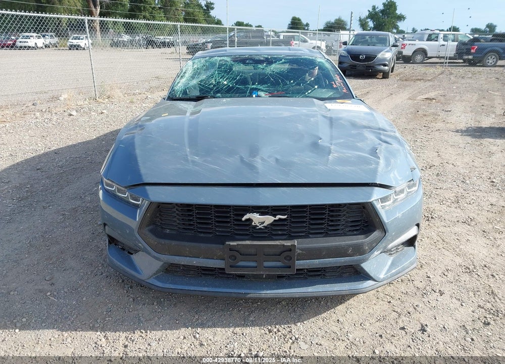 2024 FORD MUSTANG VIN: 1FA6P8TH4R5105958