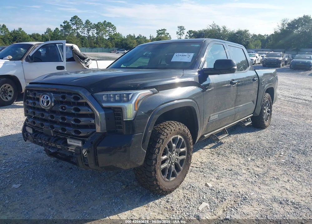 2023 TOYOTA TUNDRA PLATINUM VIN: 5TFNA5DB6PX067389