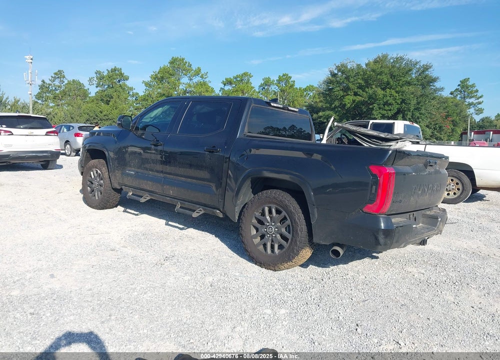 2023 TOYOTA TUNDRA PLATINUM VIN: 5TFNA5DB6PX067389