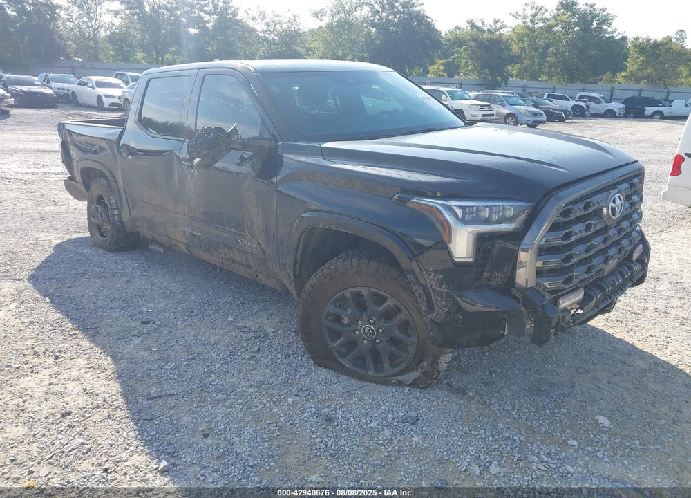 2023 TOYOTA TUNDRA PLATINUM VIN: 5TFNA5DB6PX067389