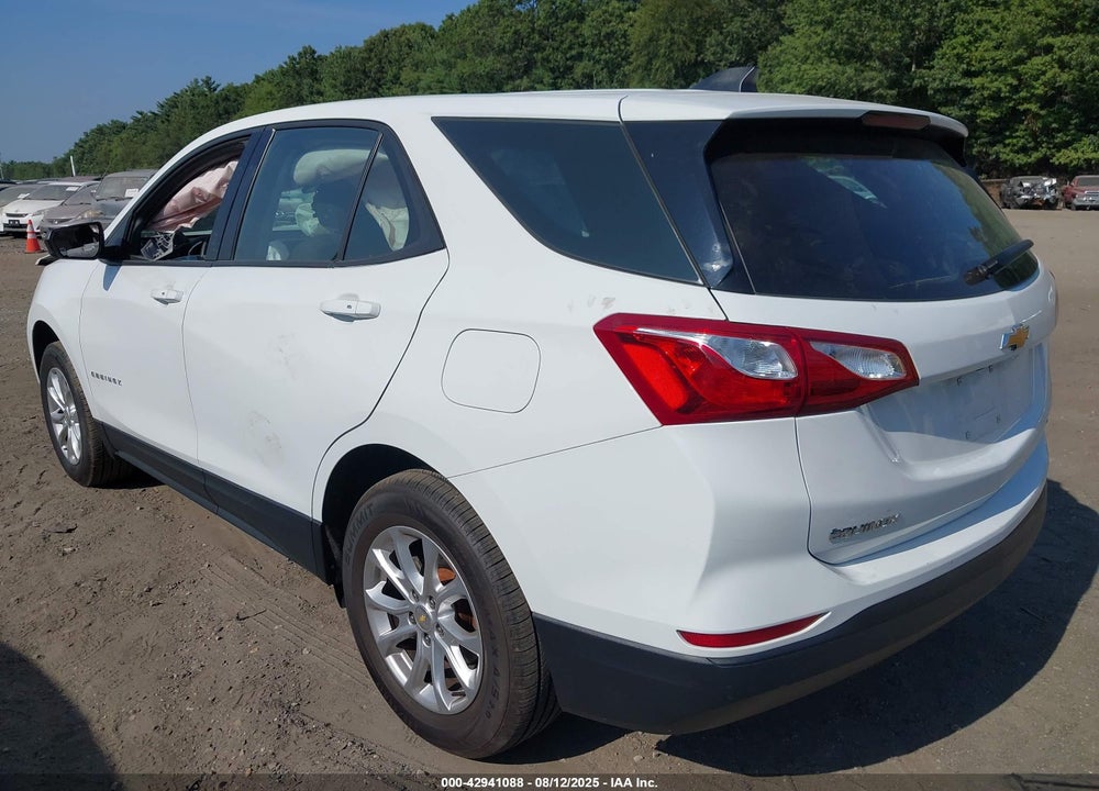 2019 CHEVROLET EQUINOX LS VIN: 2GNAXSEV5K6106879