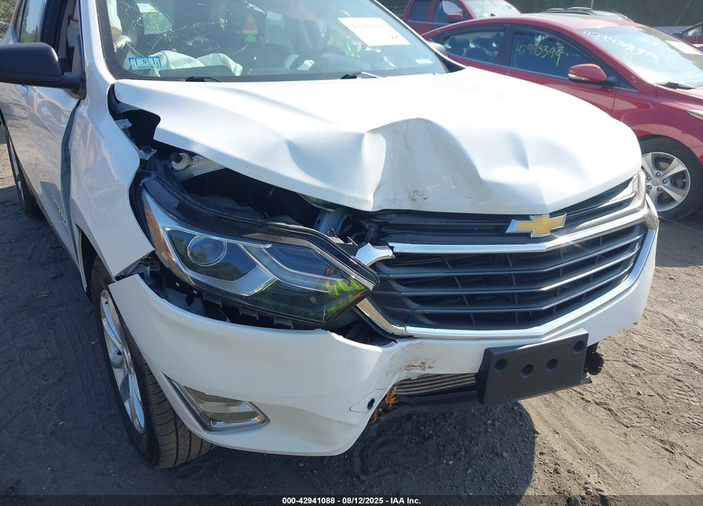 2019 CHEVROLET EQUINOX LS VIN: 2GNAXSEV5K6106879