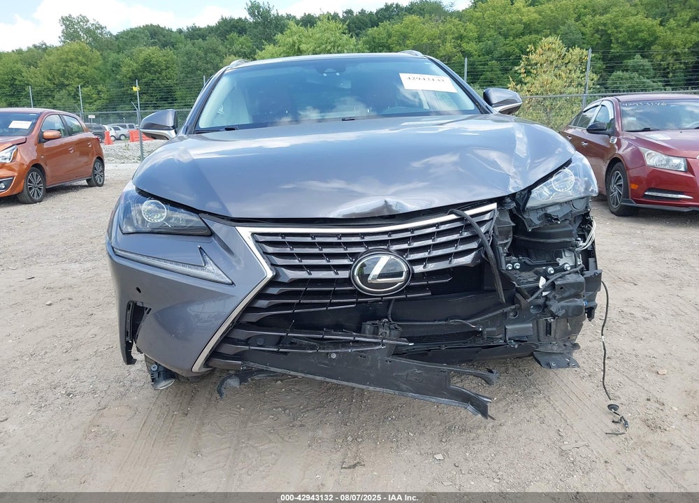 2019 LEXUS NX 300 VIN: JTJYARBZXK2142117