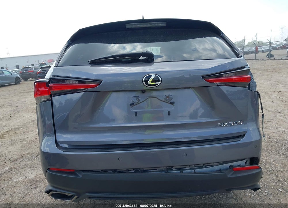 2019 LEXUS NX 300 VIN: JTJYARBZXK2142117