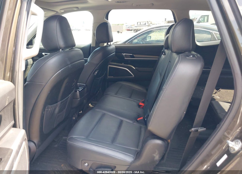 2020 KIA TELLURIDE VIN: 5XYP6DHC6LG093480