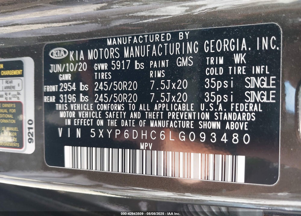 2020 KIA TELLURIDE VIN: 5XYP6DHC6LG093480