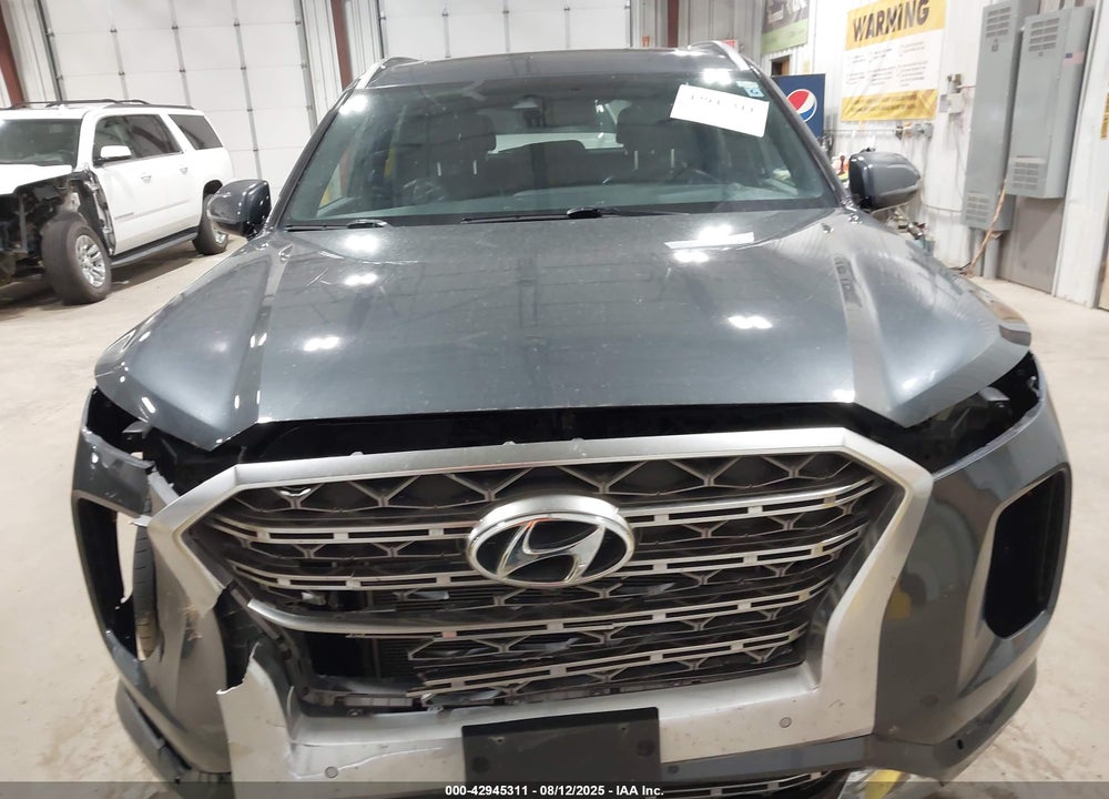2020 HYUNDAI PALISADE VIN: KM8R5DHE5LU039952