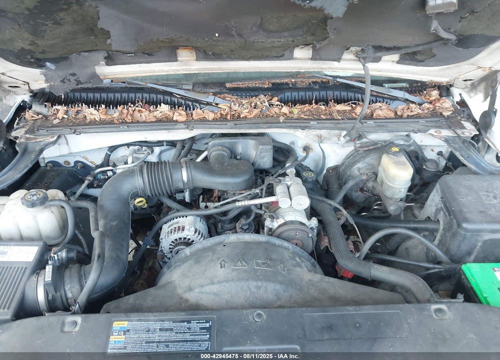 2002 GMC SIERRA 1500 STANDARD VIN: 1GTEC14WX2Z334066