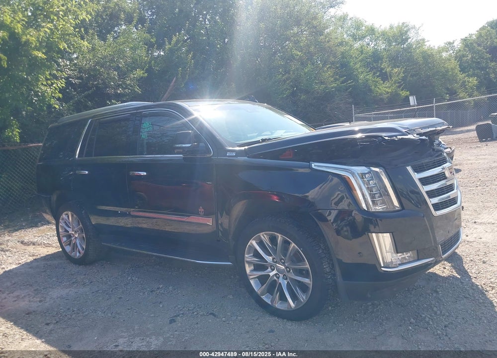 2017 CADILLAC ESCALADE VIN: 1GYS4BKJ2HR376991