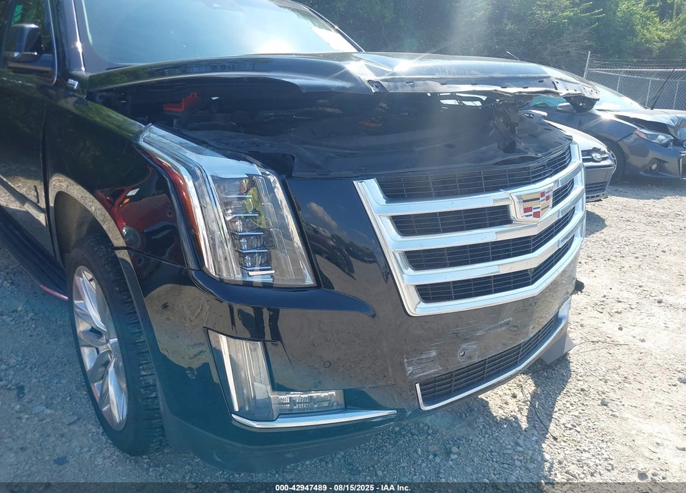 2017 CADILLAC ESCALADE VIN: 1GYS4BKJ2HR376991
