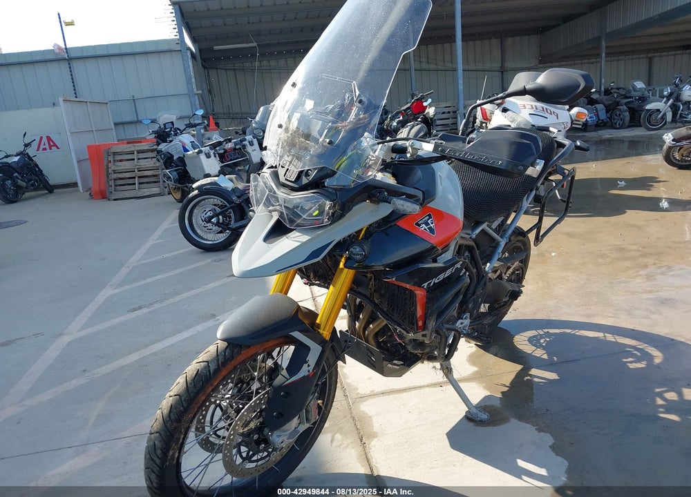 2024 TRIUMPH MOTORCYCLE TIGER 900 RALLY PRO VIN: SMTC83DE7RTBS2562