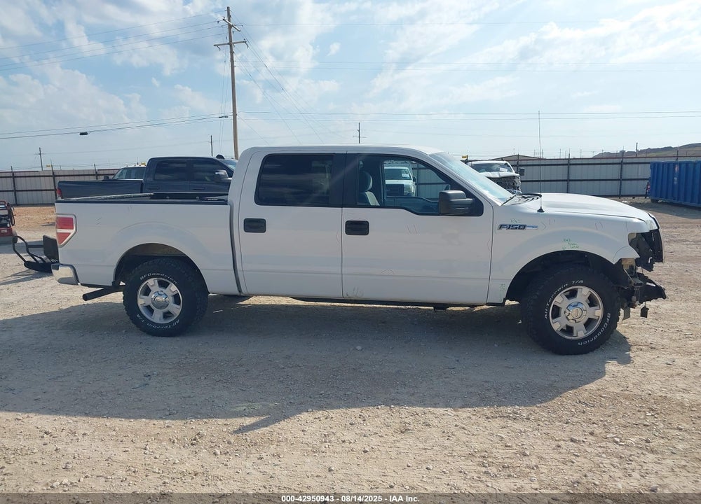 2013 FORD F-150 VIN: 1FTFW1CF8DKF24974