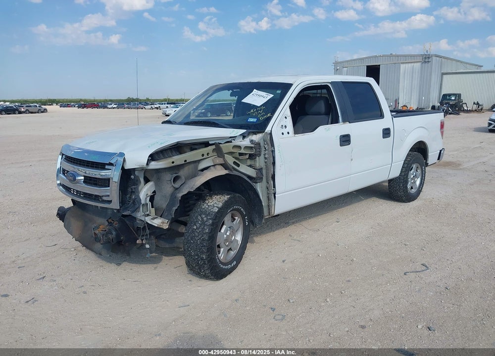 2013 FORD F-150 VIN: 1FTFW1CF8DKF24974