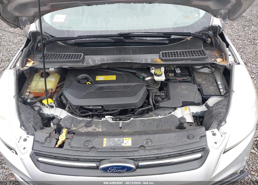 2013 FORD ESCAPE VIN: 1FMCU0GX2DUB61044