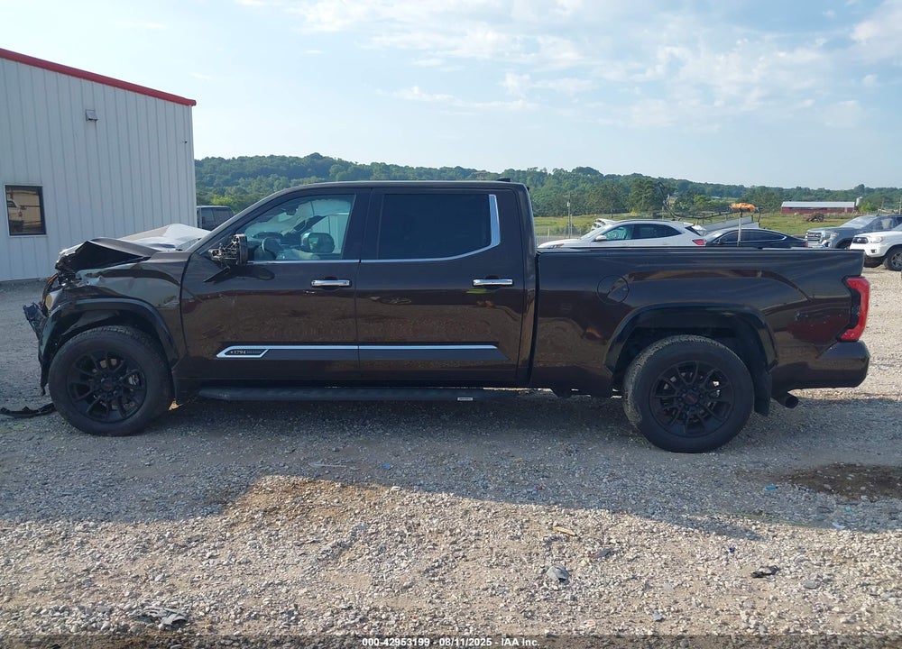 2022 TOYOTA TUNDRA 1794 EDITION VIN: 5TFMA5EC2NX006900