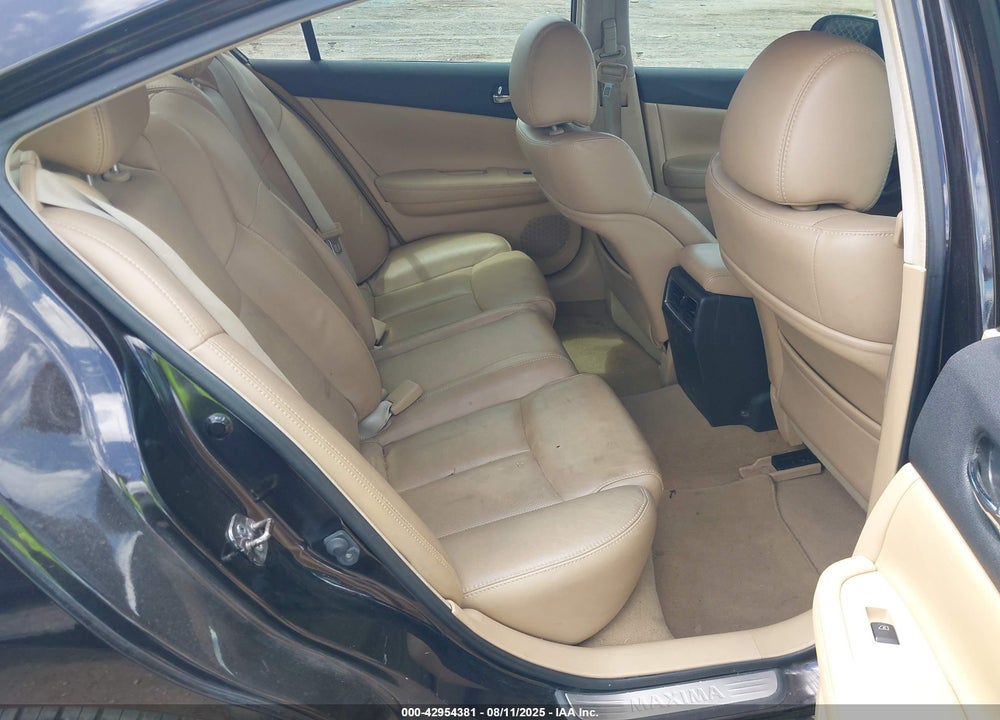 2010 NISSAN MAXIMA VIN: 1N4AA5AP9AC867977